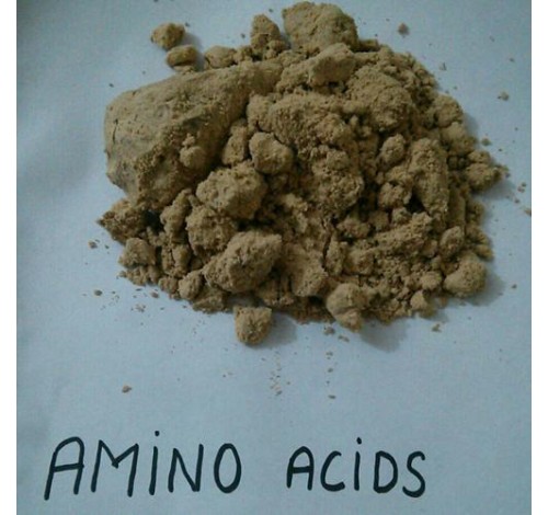 Amino Acid Soya Base 50% and 80%